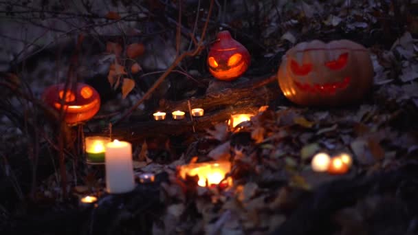 Kompozycja Białych Płonących Świec Pomarańczowe Rzeźbione Głowy Dyni Jack Lantern — Wideo stockowe