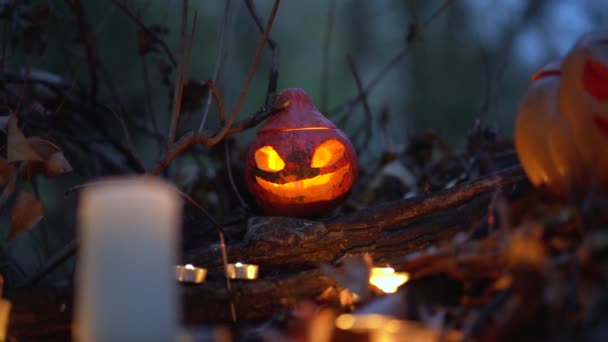 Glowing Orange Carved Scary Pumpkin Head White Candles Burning Dark — Stock Video