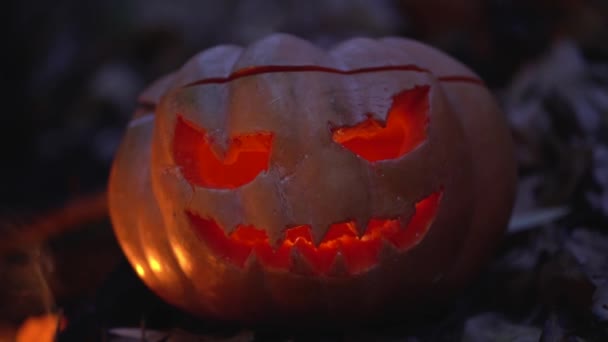 One Big Creepy Carved Pumpkin Glows Using Candle Scary Jack — Stock Video