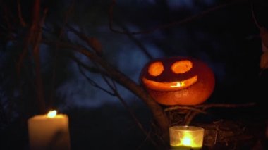 Parlak turuncu balkabağı ve oyulmuş korkunç ekşimeler kara büyü ormanının arka planında kuru ağaç dalları üzerinde duruyor. Mumların ışığı Jack O Fener Kafa 'yı aydınlatır. Cadılar Bayramı Tatili kavramı.