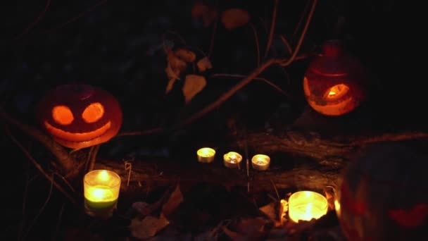 Composición Creativa Halloween Dos Horribles Calabazas Linterna Gato Tallado Brillante — Vídeos de Stock