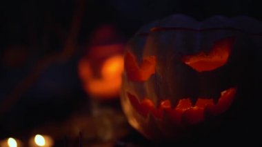 Mutlu Cadılar Bayramı 'nın portresi portakal kabuğu oyulmuş Jack Lantern' in başı korkunç şeytani yüzlü mistik ormanda. Balkabağının ürkütücü parlayan yüzü. Tatil dehşeti konsepti. Kapatın. Dışarıda..
