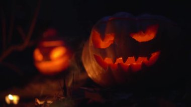 Cadılar bayramı dekorasyonunuz kutlu olsun. Dışarıdaki sisli gece ormanlarında korkunç Jack O Fenerleri. Oyulmuş tüyler ürpertici balkabağı kafaları yavaş çekimde parlar. Mumlar yanar, içi boş figürler içinde titreşir..