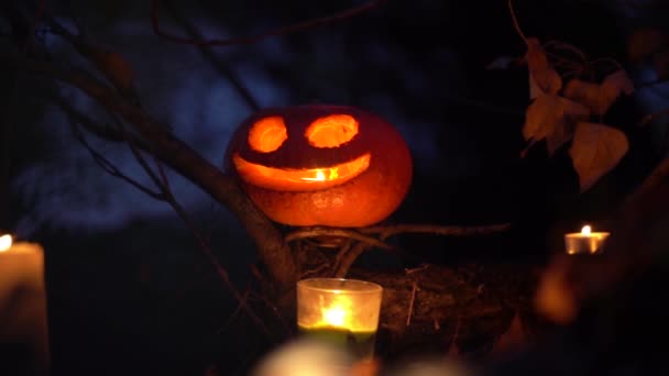 Una Calabaza Tallada Espeluznante Naranja Velas Ardientes Cera Oscuro Bosque — Vídeo de stock