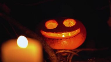 Yüzü şekilli balkabağı kafası dışarıdaki siyah arka planda izole edilmiş ağaç dallarında kalır. Jack O Fener 'in içinde mum alevi yanıyor. Gecenin karanlığında yaklaş. Mutlu Bayramlar Cadılar Bayramı