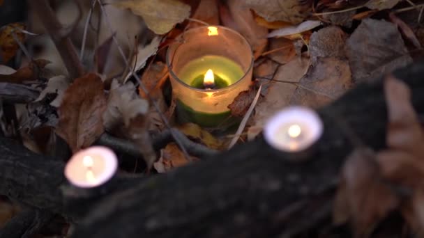 Zelené Bílé Voskové Svíčky Hořící Skle Stojí Podzim Suché Spadané — Stock video