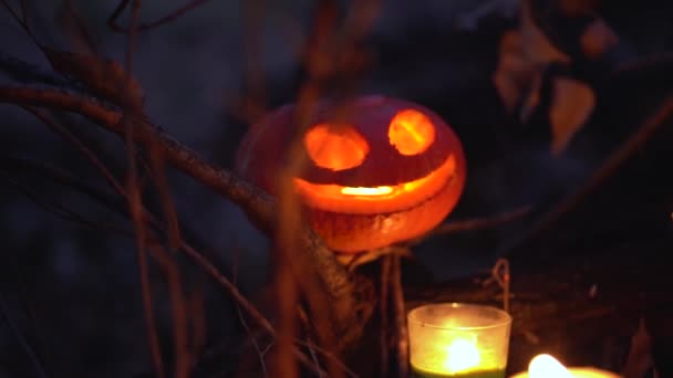 Dynia Halloween Rzeźbione Okrągłe Oczy Uśmiech Między Gałęziami Nocnym Tle — Wideo stockowe