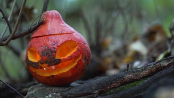 Une Citrouille Orangée Sculptée Avec Une Grimace Effrayante Sur Une — Video