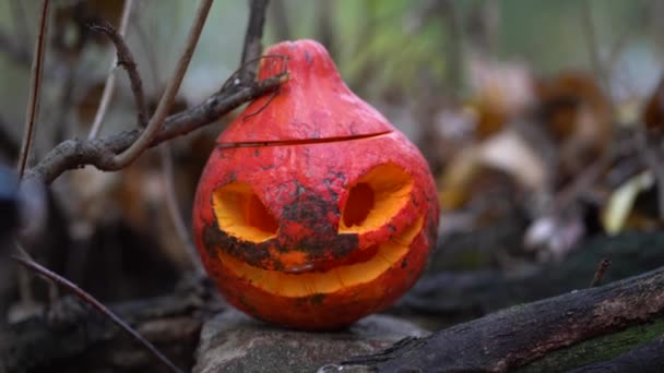 Zucca Arancione Jack Sta Tra Rami Foglie Lanterna Con Taglio — Video Stock