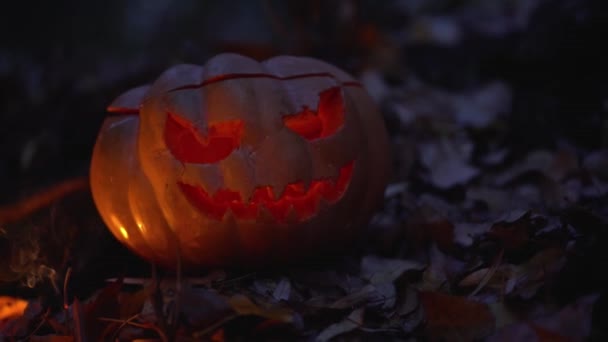 外の恐ろしい深い夜の秋の森の中でろうそくを燃やす不気味な頭のジャックランタン ハロウィーンのオレンジを輝く月の終わりに光の中で冷たい葉の上にカボチャを彫りました ホラーホリデーのコンセプト — ストック動画