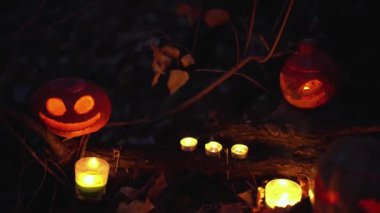 Korkunç, parlayan turuncu balkabağı kafaları gece karanlığında mistik orman arka planında Jack O. Lantern. Mumlardan gelen parıltı ürkünç bir şekilde ağaç dallarını aydınlatır. Açık havada. Mutlu Cadılar Bayramı Tatili konsepti.
