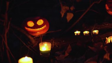 Gülümseyen turuncu, parlak balkabağı yanan beyaz mumlar, ağaç dalları ve açık havada korkunç orman arka planında yapraklar arasında. Mutlu Cadılar Bayramı konsepti. Fener Jack şeytani gülümseme.