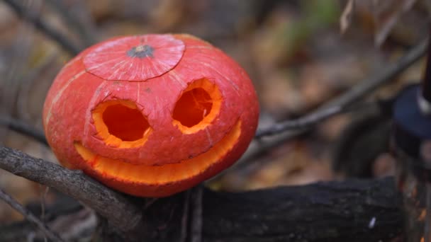 Una Sola Calabaza Hueca Grande Con Mueca Ominosa Tallada Rama — Vídeos de Stock