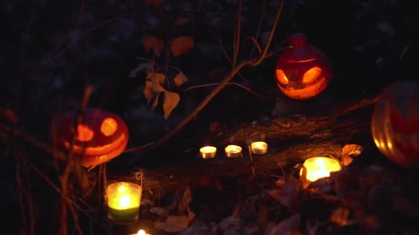 할로윈 오렌지 호박은 어두운 배경을 널빤지 텍스트의 랜턴의 안에서 촛불이 — 비디오