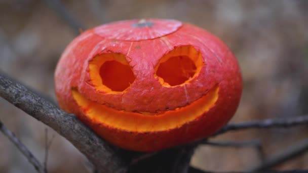 Ein Gruseliger Orangefarbener Kürbis Mit Geschnitzten Augen Großem Mund Der — Stockvideo