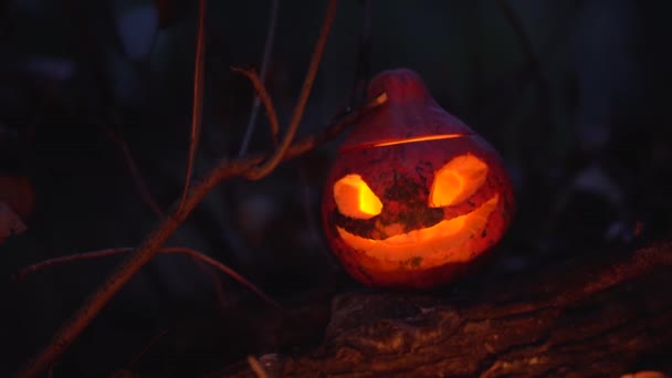 Portrét Happy Halloween Symbolu Vyřezávaná Hlava Jack Lucerna Děsivým Zlým — Stock video