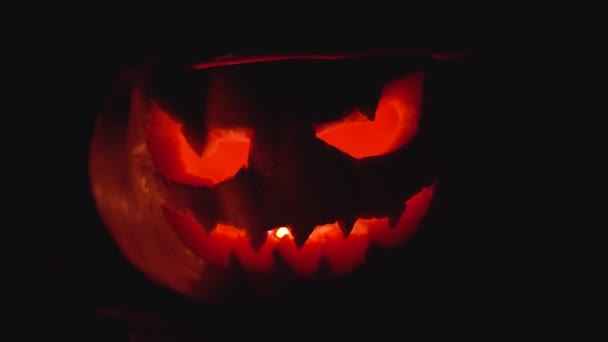 Portrait Carved Scary Pumpkin Jack Lantern Isolated Black Background Close — Stock Video