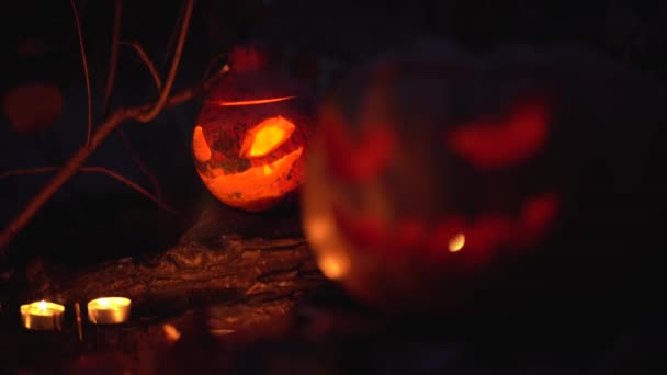 Caretas Assustadoras Rostos Abóboras Esculpidas Laranja Velas Pânico Noite Floresta — Vídeo de Stock