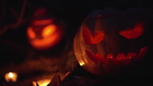 Zucche Arancioni Spaventose Candele Halloween Sfondo Foresta Pericolosa Notte All — Video Stock