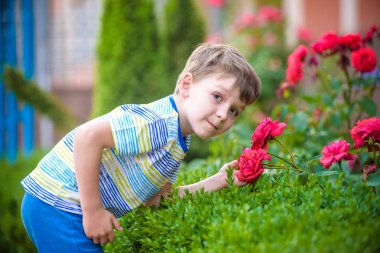 Güleryüzlü ve sıcak yaz gününde bir Gül kokulu bir çocuk portresi. Tut elleri ve bakınca gül çok güzel evlat. Çocuklar açık havada eğlence.