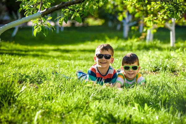 Mutlu gülümseyen erkek kardeş kardeşi çimenlerin üzerinde rahatlatıcı. Kopya alanı görünümüyle kapatın. Okul öncesi çocuklar güneş gözlüğü takıyor yaz tatil kampı. Gevşeme mutlu çocukluk dostluk kavramı.
