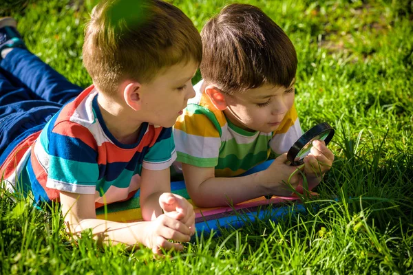 Hermosos Niños Felices Hermanos Varones Explorando Naturaleza Con Lupa Verano — Foto de Stock