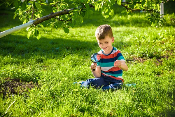 portrait of the boy in a garden, considers plants through a magnifying glass. Preschool kid rest in summer holiday school camp. Exploration concept