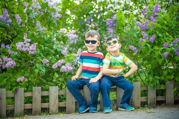 İki küçük kardeşin portresi, arka plandaki şehir ve park manzarasında günlük kıyafet ve güneş gözlüğü takan leylak çalılıklarında küçük çitlerde oturuyor. Mutlu çocukluk arkadaşlığı kavramı.