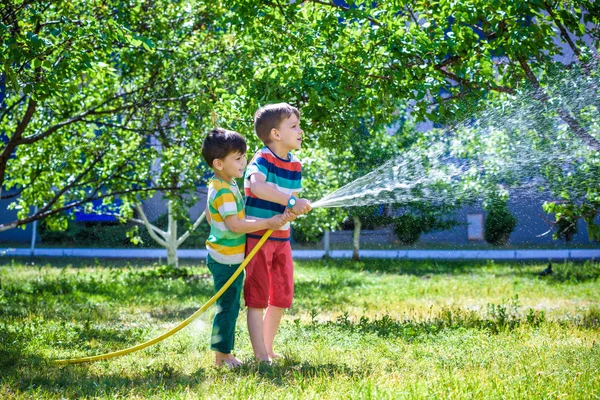 Two little friends playing together and splashing with a garden hose on hot and sunny summer day. Boys having fun with watering fruit garden in village outdoors. Funny holiday leisure water