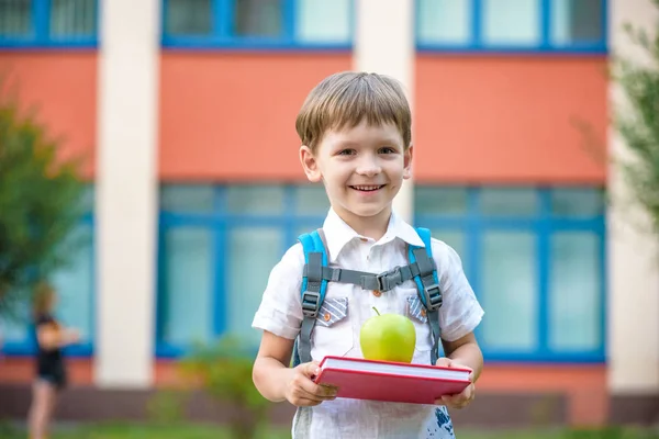 Ευτυχισμένος Μικρό Αγόρι Προσχολικής Ηλικίας Παιδί Βιβλίο Και Πράσινο Μήλο — Φωτογραφία Αρχείου