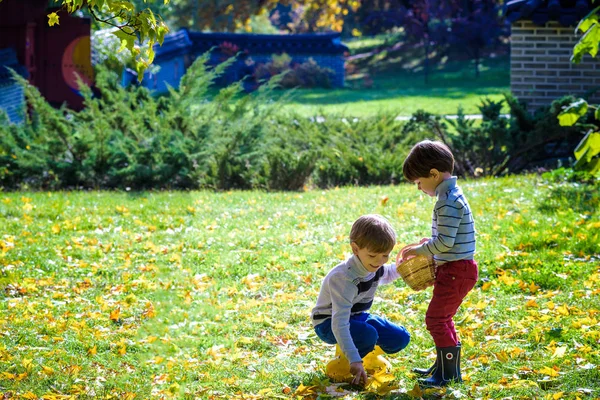 两个男孩躺在秋叶上的青草上 温暖的秋日阳光明媚的一天 与黄叶的近脸 友情概念 — 图库照片