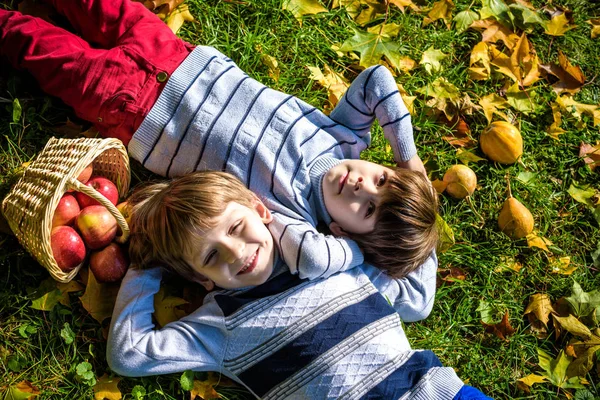 Two boys lay in the fallen autumn foliage on green grass with basket of apples. Warm autumn sunny day. Kids siblings brother boys having fun together. Friendship concept.