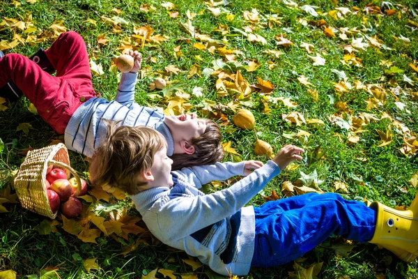 Two boys lay in the fallen autumn foliage on green grass with basket of apples. Warm autumn sunny day. Kids siblings brother boys having fun together. Friendship concept.