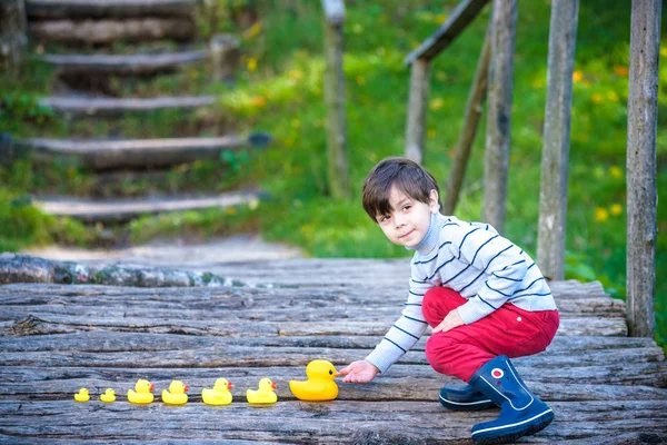 Entzückendes Kind Junge Kind Spielend Park Mit Gummienten Auf Einer — Stockfoto