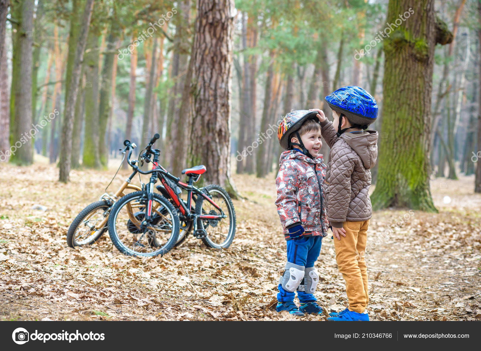 two brothers bicycles