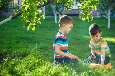 Güneşli bir günde elinde büyüteçle kağıt üzerinde ateş yakan iki sevimli çocuk. Bahçede ateş doğasını keşfeden çocuk. Büyüteci olan genç bir kaşif. Eğitim ve keşif kavramı