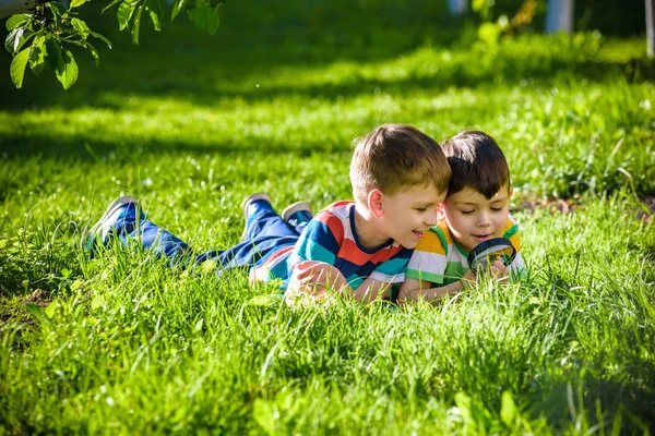 Lindas Crianças Felizes Irmãos Meninos Explorando Natureza Com Lupa Verão — Fotografia de Stock