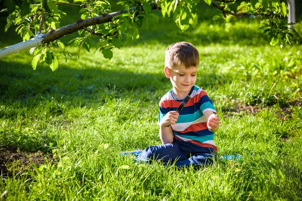 Retrato Del Niño Jardín Considera Las Plantas Través Una Lupa — Foto de Stock