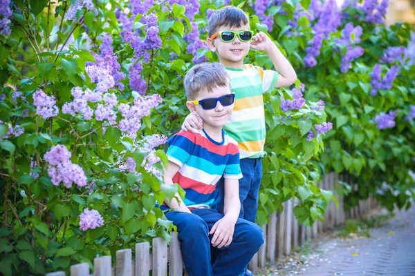 İki küçük kardeşin portresi, arka plandaki şehir ve park manzarasında günlük kıyafet ve güneş gözlüğü takan leylak çalılıklarında küçük çitlerde oturuyor. Mutlu çocukluk arkadaşlığı kavramı.