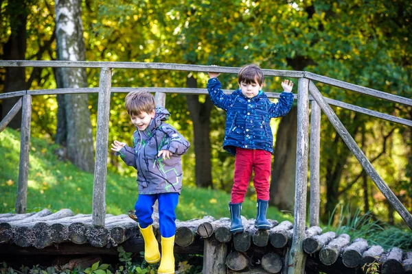 Deux Frères Garçon Frère Traversant Petit Pont Bois Dans Les — Photo