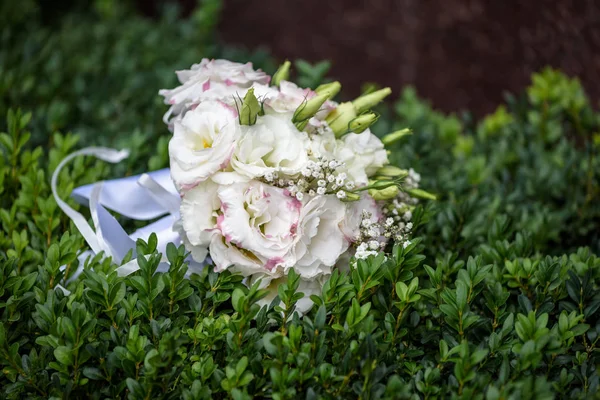 Bruiloft Boeket Een Groene Struik Verse Verschillende Zomer Bloemen Closeup — Stockfoto