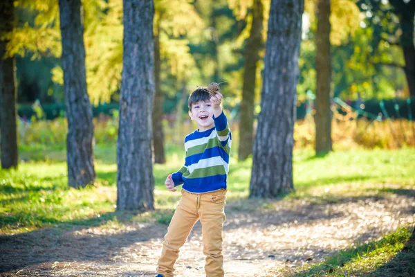 Белый Мальчик Тоддлер Играет Сосновом Лесу Сосновыми Шишками Хвойные Шишки — стоковое фото