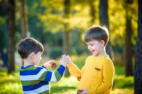 Zwei Süße Geschwister Kleiner Junge Spielen Zusammen Mit Zwei Großen — Stockfoto