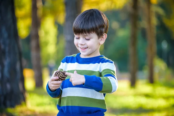 Weißer Kleinkind Junge Spielt Einem Kiefernwald Mit Tannenzapfen Nadelzapfen Auf — Stockfoto