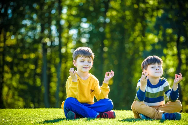 İki beyaz erkek kardeş taze yeşil çimen tarlasında oturuyor ve günlük giysiler içinde meditasyon yapıyor, mutlu çocuklar dışarıda huzurlu bir yaz haftasonunun tadını çıkarıyor. Arkadaşlık rahatlama konsepti.