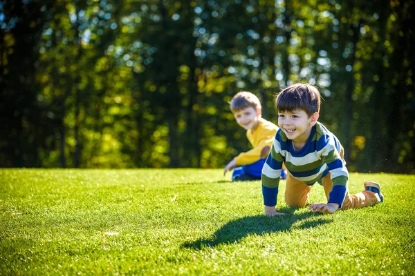 Два Счастливых Мальчика Играют Свежем Зеленом Лугу Столкнуться Улыбаться Вместе — стоковое фото