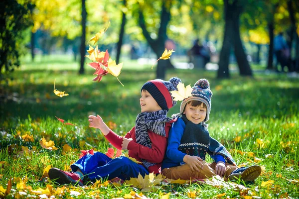 Happy children playing in beautiful autumn park on warm sunny fall day. Kids play with golden maple leaves. Season, children, lifestyle concept.