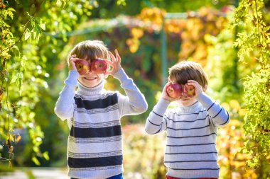 Sevimli küçük iki meyve meyve bahçesinde taze olgun elma toplama çocuklar bebeğim. Bir çiftlikte aile eğlence hasat zamanı sırasında. Sonbahar bahçede oynayan çocuklar