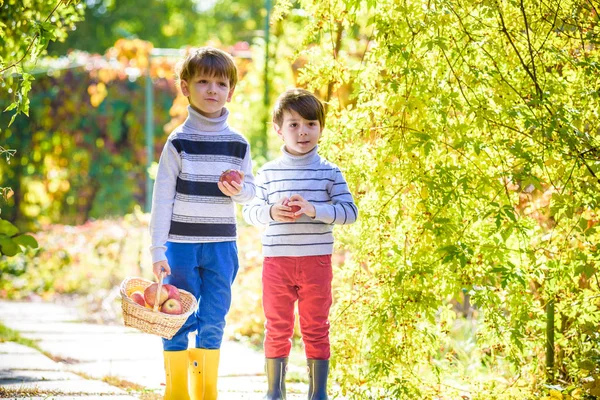 Dos Chicos Adorables Parados Con Una Cesta Con Manzanas Los — Foto de Stock