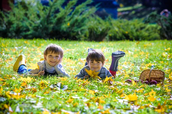 Dois Meninos Jazem Folhagem Caída Outono Grama Verde Quente Outono — Fotografia de Stock